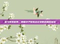 路飞传奇官网,草帽小子冒险全纪录的终极档案馆