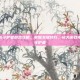 揭秘隐形守护者游戏攻略，掌握关键技巧，成为游戏中的隐形守护者