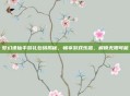 梦幻诛仙手游礼包码揭秘，畅享游戏乐趣，解锁无限可能