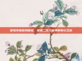 御宅伴侣游戏解说，探索二次元世界的奇幻之旅