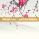 揭秘光明力量2，终极攻略与游戏资讯