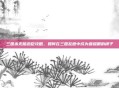 三国杀无脑忠臣攻略，如何在三国乱世中成为最耀眼的棋子