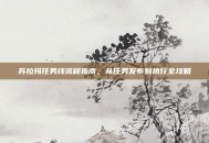 苏拉玛任务线流程指南，从任务发布到执行全攻略