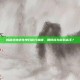 揭秘绝地求生单日积分巅峰，如何成为游戏高手？