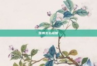 炫舞怎么结婚
