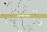 王者荣耀火爆吗？