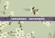 九阴真经求败棍法，武林中的双璧传奇