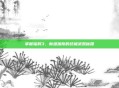 掌握辐射3，新维加斯的终极武器秘籍