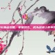 女枪PK加点攻略，掌握技巧，成为战场上的不败女王