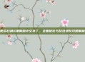 使命召唤6重制版中文补丁，全面优化与玩法进阶攻略解析