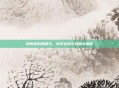 地铁最后的曙光，游戏资讯与攻略全解析