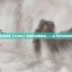 探索绝地求生（PUBG）的极致画质体验——进入游戏原图的世界