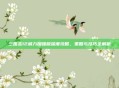 三国志12威力加强版深度攻略,策略与技巧全解析