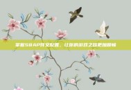 掌握S8AP符文配置，让你的游戏之路更加顺畅