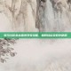 骑马与砍杀战团序列号攻略，如何轻松获取并使用