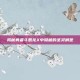 揭秘勇者斗恶龙X中隐藏的圣灵肩垫