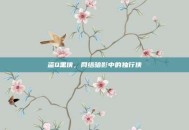 盗Q黑侠，网络暗影中的独行侠