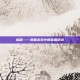 塔盾——策略游戏中的坚固防线