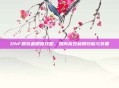 DNF复仇者刷图攻略,如何高效利用技能与装备
