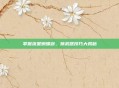 掌握流星蝴蝶剑，换武器技巧大揭秘