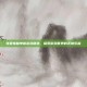 免费电脑单机游戏精选，探索游戏世界的无限乐趣