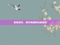 冤罪游戏,揭开真相的终极挑战