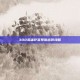 300英雄萨菲罗斯出装攻略