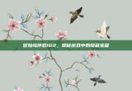 冒险岛伴侣102，揭秘游戏中的隐藏宝藏