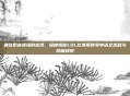 通往职业赛场的密钥，深度揭秘LOL比赛服账号申请全流程与隐藏规则