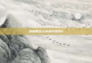 附魔师怎么快速升级到11