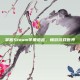 掌握Steam苹果语言，畅游游戏世界
