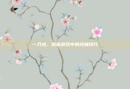 一刀挂，揭秘游戏中的终极技巧