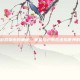 探索游戏货币的奥秘，美金与卢布在虚拟世界的交易