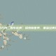 明日方舟二周年庆典，探索新世界，重温经典策略