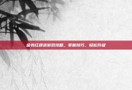 金书红颜录游戏攻略，掌握技巧，轻松升级