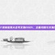 DNF宠物宝珠大全可交易2021，全面攻略与交易技巧