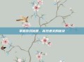 掌握游戏秘籍,高效通关的秘诀