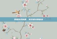 掌握游戏秘籍，高效通关的秘诀