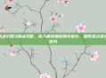 风色幻想3加点攻略,深入解读角色属性优化,助你抢占游戏优势