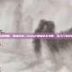 天道酬勤，诛仙问道—Dota2诛仙诀全攻略，从入门到封神