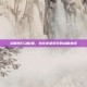 浣熊市行动配置，生存还是毁灭的战略抉择