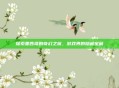 探索墨西哥的奇幻之旅，游戏界的隐藏宝藏