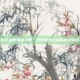 战斗法师加点攻略，如何最大化你的魔法输出