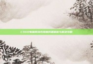 CSGO电脑间接性掉帧问题解析与解决攻略