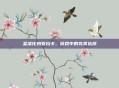 圣洁化身索拉卡，游戏中的完美选择