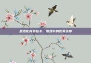 圣洁化身索拉卡，游戏中的完美选择