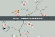 拔刀剑，终极战斗技巧与策略指南