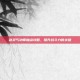 剑灵气功师加点攻略，提升战斗力的关键
