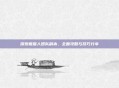 探索熊猫人团队副本，全面攻略与技巧分享