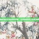掌握新浪彩虹岛绿钻攻略，让你的游戏之旅更加精彩